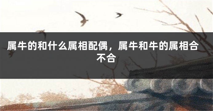 属牛的和什么属相配偶，属牛和牛的属相合不合