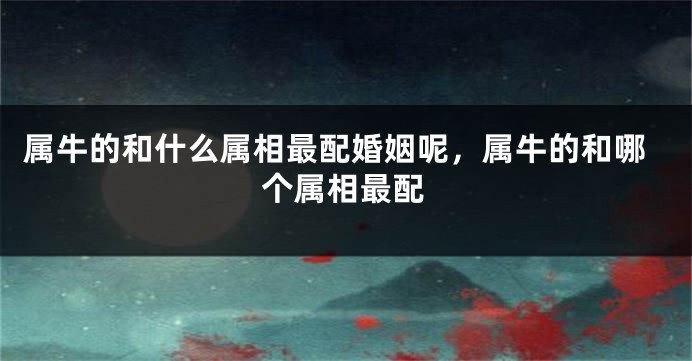 属牛的和什么属相最配婚姻呢，属牛的和哪个属相最配