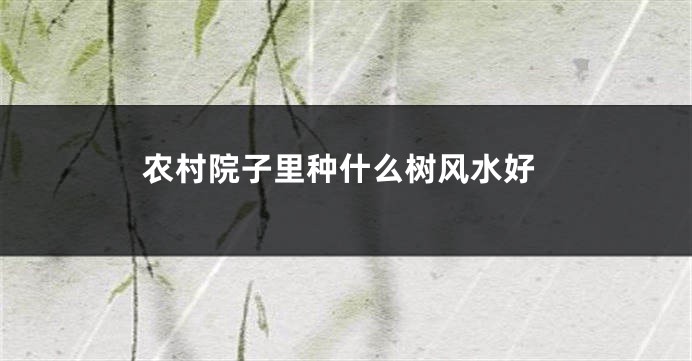 农村院子里种什么树风水好