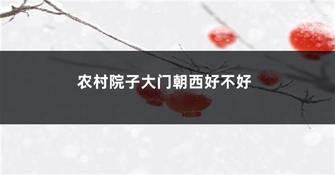 农村院子大门朝西好不好