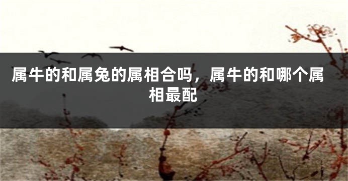 属牛的和属兔的属相合吗,属牛的和哪个属相最配