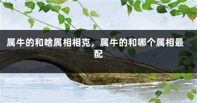 属牛的和啥属相相克，属牛的和哪个属相最配