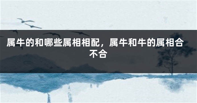 属牛的和哪些属相相配，属牛和牛的属相合不合