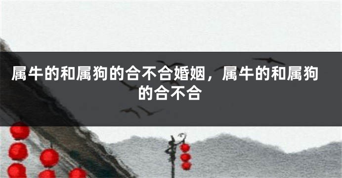 属牛的和属狗的合不合婚姻，属牛的和属狗的合不合