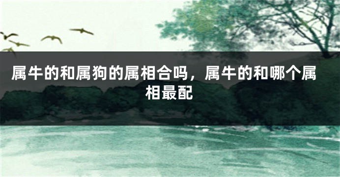 属牛的和属狗的属相合吗，属牛的和哪个属相最配