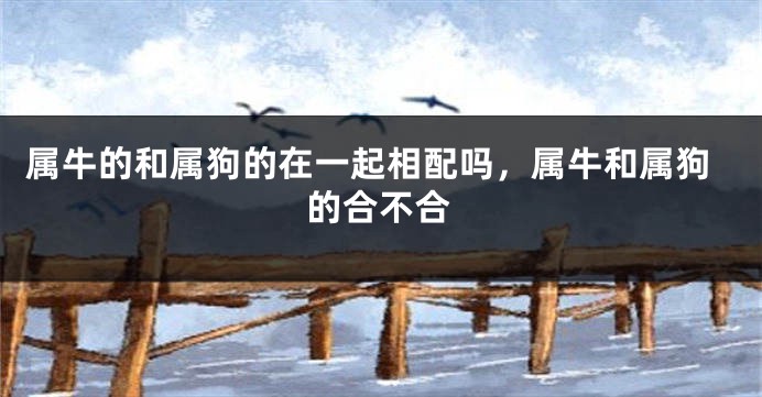 属牛的和属狗的在一起相配吗，属牛和属狗的合不合