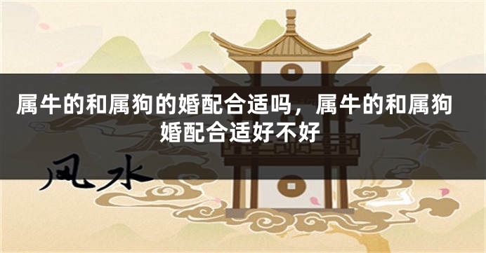 属牛的和属狗的婚配合适吗,属牛的和属狗婚配合适好不好