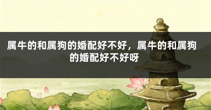 属牛的和属狗的婚配好不好，属牛的和属狗的婚配好不好呀