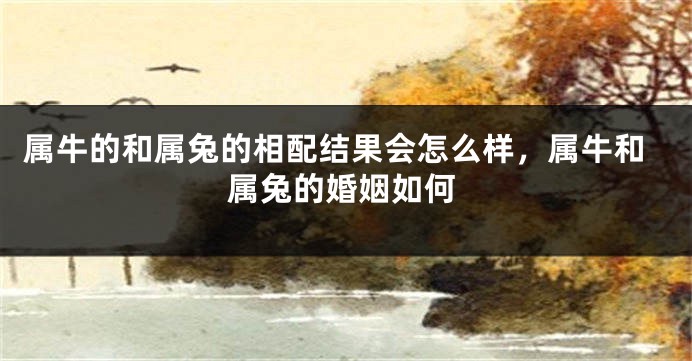 属牛的和属兔的相配结果会怎么样，属牛和属兔的婚姻如何