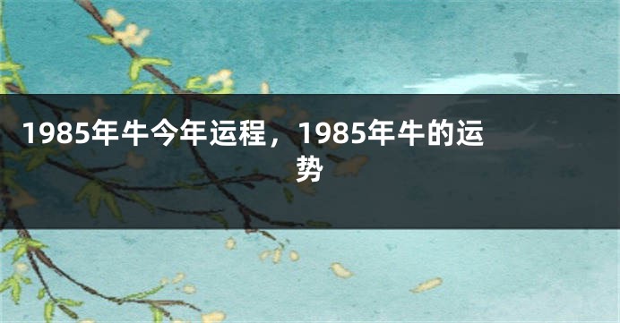 1985年牛今年运程，1985年牛的运势