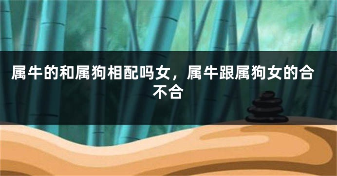 属牛的和属狗相配吗女，属牛跟属狗女的合不合