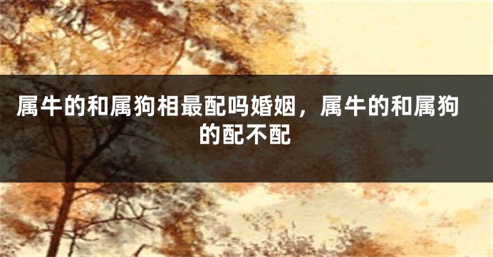 属牛的和属狗相最配吗婚姻，属牛的和属狗的配不配