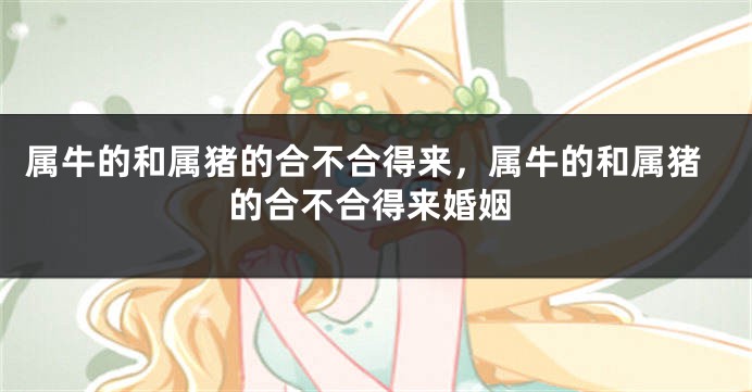 属牛的和属猪的合不合得来，属牛的和属猪的合不合得来婚姻