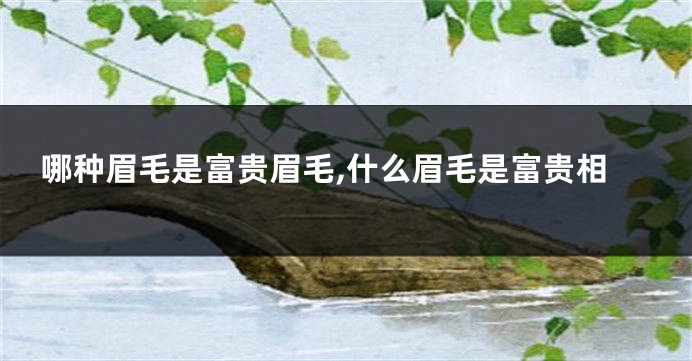 哪种眉毛是富贵眉毛,什么眉毛是富贵相