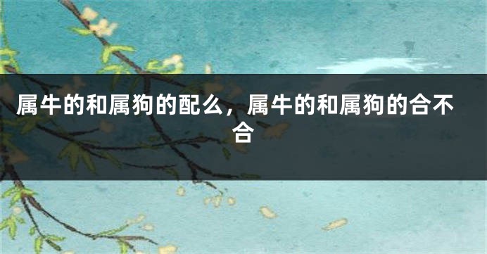 属牛的和属狗的配么，属牛的和属狗的合不合