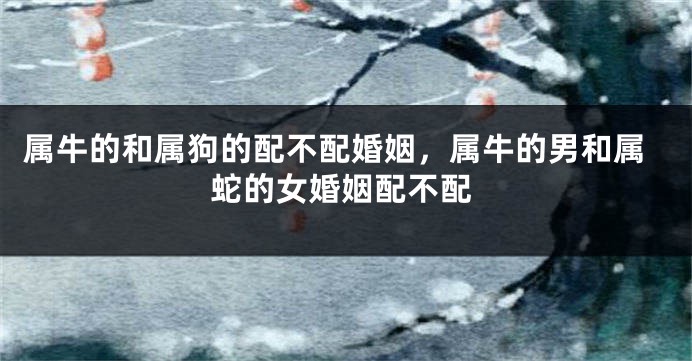 属牛的和属狗的配不配婚姻，属牛的男和属蛇的女婚姻配不配