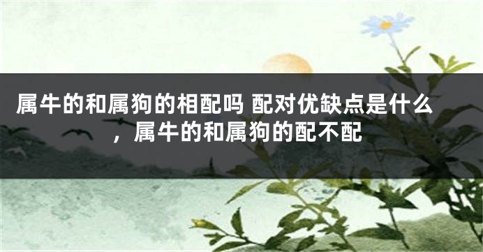 属牛的和属狗的相配吗 配对优缺点是什么，属牛的和属狗的配不配