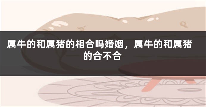 属牛的和属猪的相合吗婚姻，属牛的和属猪的合不合