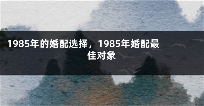 1985年的婚配选择，1985年婚配最佳对象