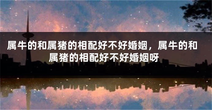 属牛的和属猪的相配好不好婚姻，属牛的和属猪的相配好不好婚姻呀