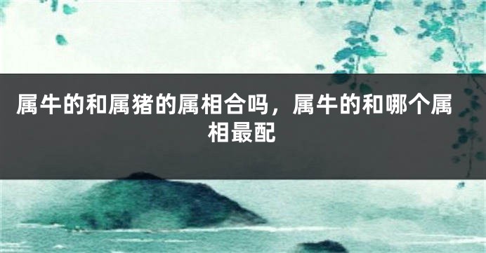 属牛的和属猪的属相合吗，属牛的和哪个属相最配