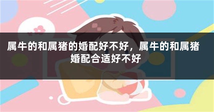 属牛的和属猪的婚配好不好,属牛的和属猪婚配合适好不好