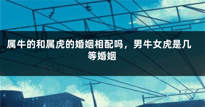 属牛的和属虎的婚姻相配吗，男牛女虎是几等婚姻
