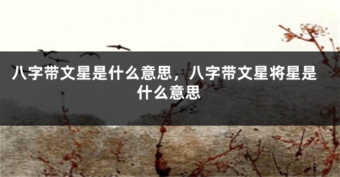 八字带文星是什么意思,八字带文星将星是什么意思