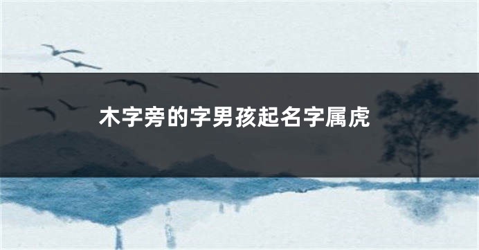 木字旁的字男孩起名字属虎