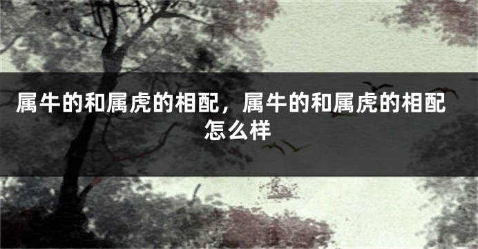 属牛的和属虎的相配，属牛的和属虎的相配怎么样