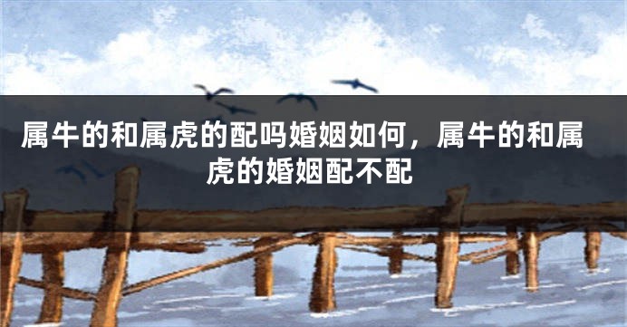属牛的和属虎的配吗婚姻如何，属牛的和属虎的婚姻配不配