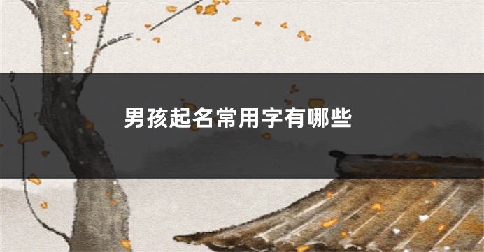 男孩起名常用字有哪些