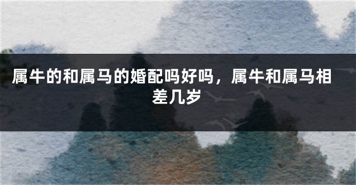 属牛的和属马的婚配吗好吗，属牛和属马相差几岁