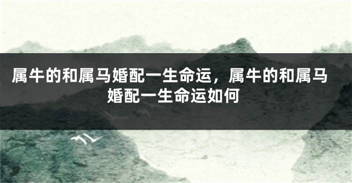 属牛的和属马婚配一生命运，属牛的和属马婚配一生命运如何
