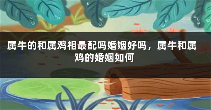 属牛的和属鸡相最配吗婚姻好吗，属牛和属鸡的婚姻如何