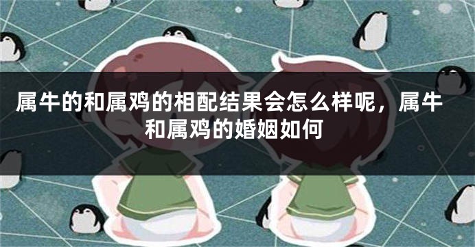 属牛的和属鸡的相配结果会怎么样呢，属牛和属鸡的婚姻如何