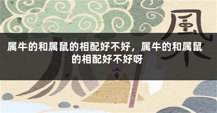 属牛的和属鼠的相配好不好，属牛的和属鼠的相配好不好呀