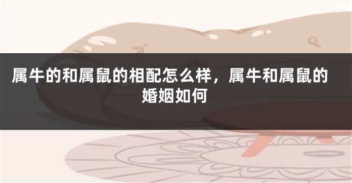 属牛的和属鼠的相配怎么样，属牛和属鼠的婚姻如何