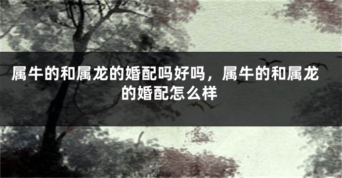 属牛的和属龙的婚配吗好吗，属牛的和属龙的婚配怎么样