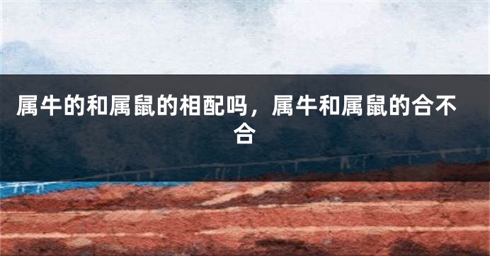 属牛的和属鼠的相配吗，属牛和属鼠的合不合