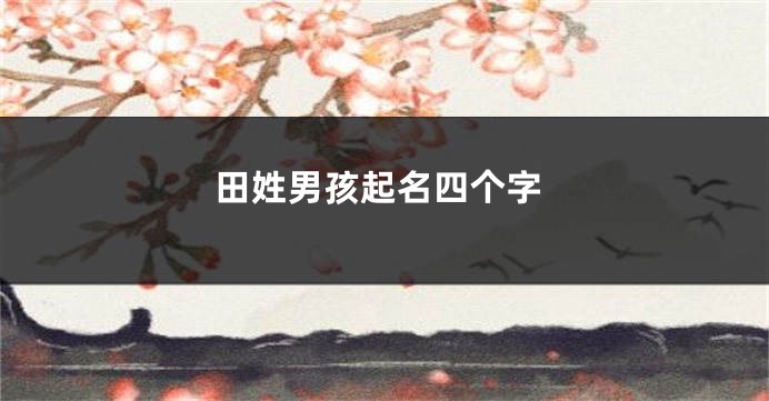 田姓男孩起名四个字