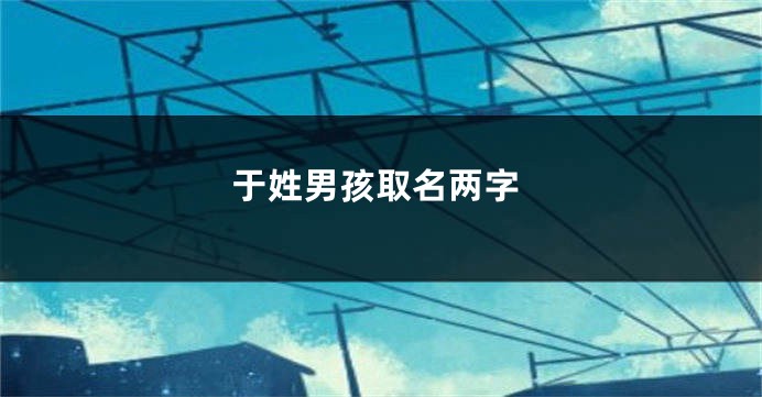 于姓男孩取名两字