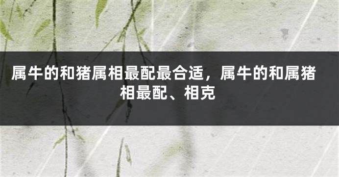 属牛的和猪属相最配最合适，属牛的和属猪相最配、相克