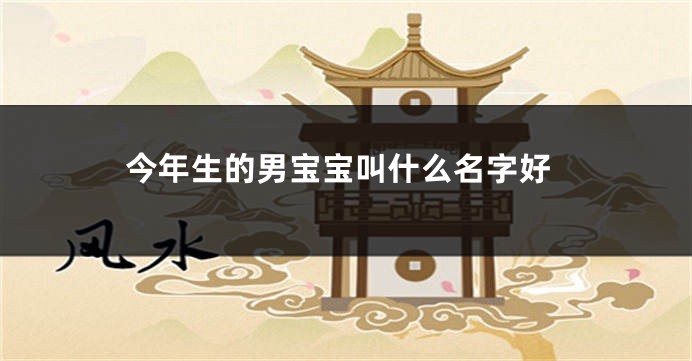 今年生的男宝宝叫什么名字好