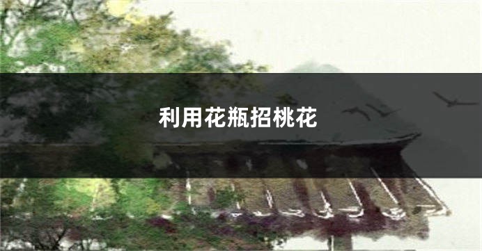 利用花瓶招桃花