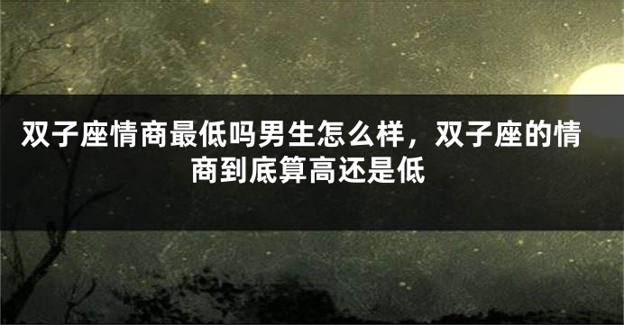 双子座情商最低吗男生怎么样，双子座的情商到底算高还是低