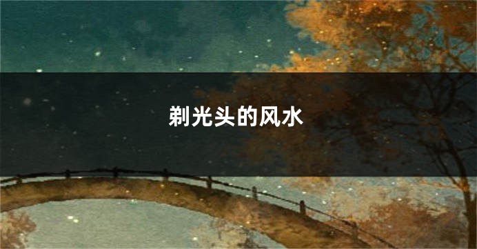 剃光头的风水
