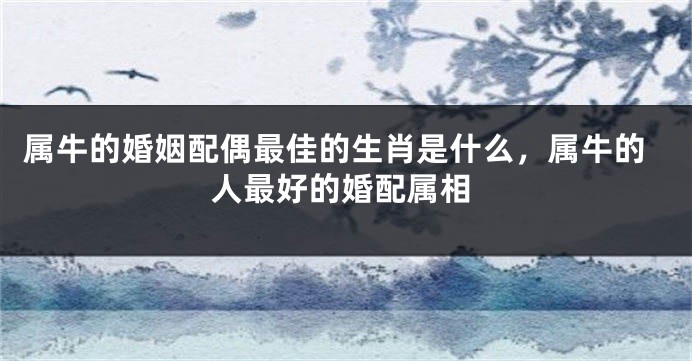 属牛的婚姻配偶最佳的生肖是什么，属牛的人最好的婚配属相