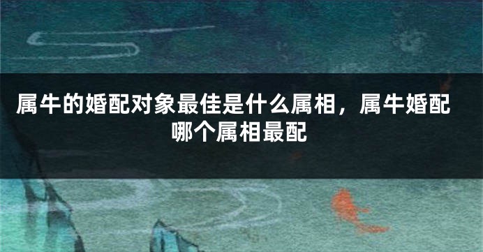 属牛的婚配对象最佳是什么属相,属牛婚配哪个属相最配