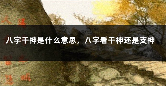八字干神是什么意思，八字看干神还是支神